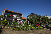 コマツガーデン