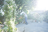 コマツガーデン