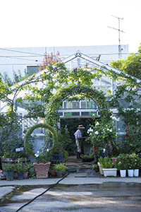 コマツガーデン