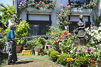 コマツガーデン