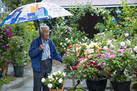 コマツガーデン