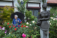 コマツガーデン