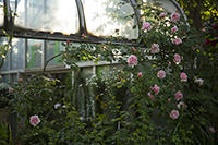 コマツガーデン