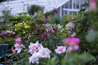 コマツガーデン