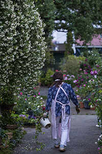 コマツガーデン