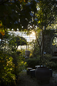 コマツガーデン