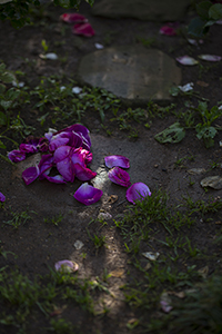 コマツガーデン