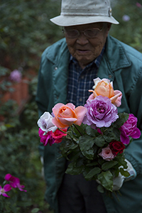 コマツガーデン