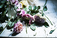 『フローリスト』（誠文堂新光社）