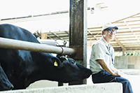 『産直通信』（パルシステム）