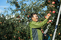 『コトコト』（パルシステム）