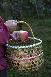 『コトコト』（パルシステム）