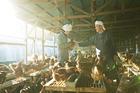 『産直通信』（パルシステム）