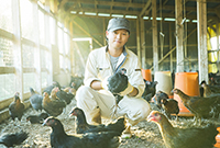 『産直通信』（パルシステム）