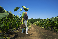 『産直通信』（パルシステム）