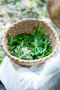 private work（料理、菓子制作・蓮池陽子、森崎繭香　スタイリング・宮嵜夕霞）