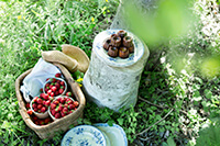 private work（料理、菓子制作・蓮池陽子、森崎繭香　スタイリング・宮嵜夕霞）