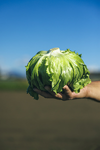 『産直365』(パルシステム