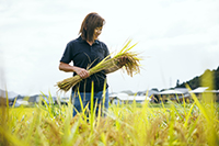 『産直365』(パルシステム)